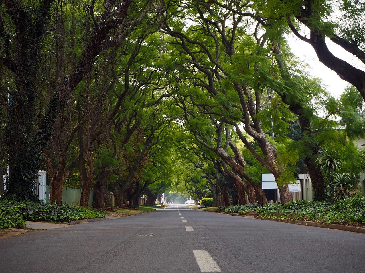 Johannesburg Buyers Rush Purchases as Rate Cut Expectations Shift Strategy