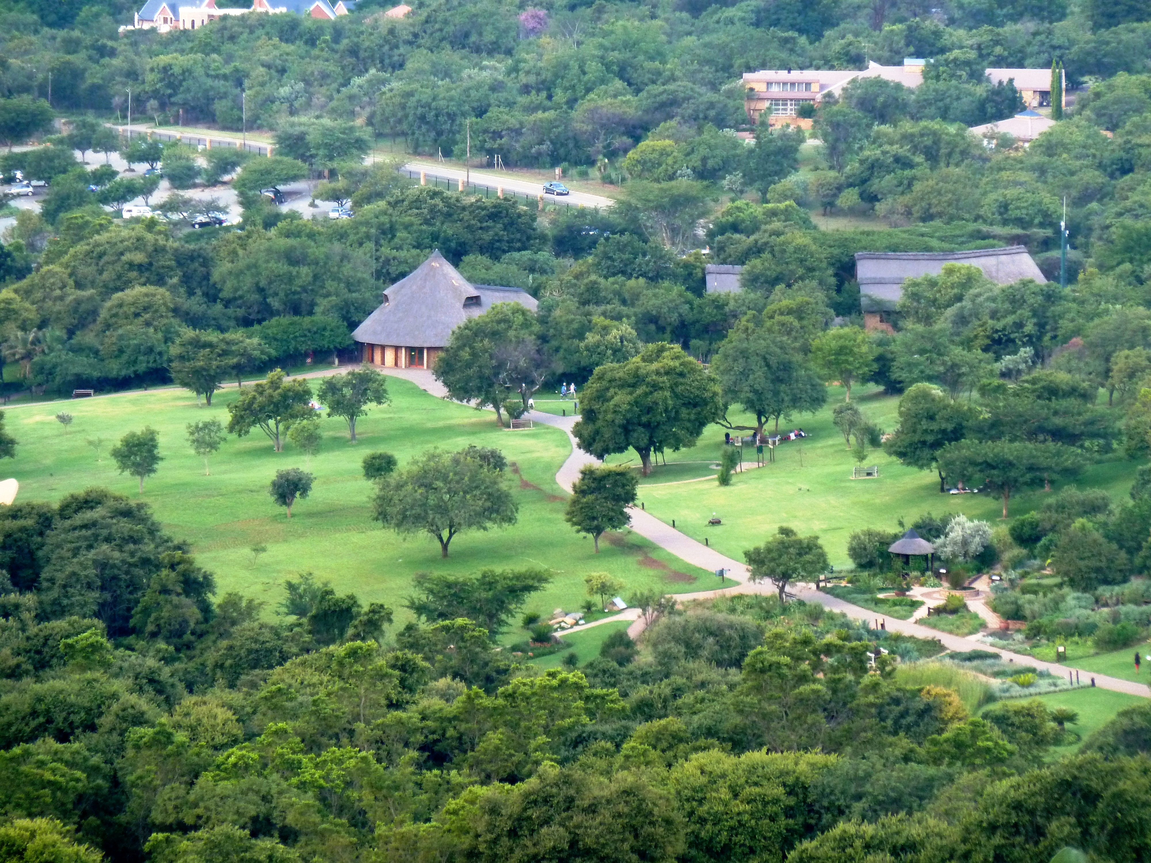 A slower Johannesburg day at Walter Sisulu National Botanical Garden