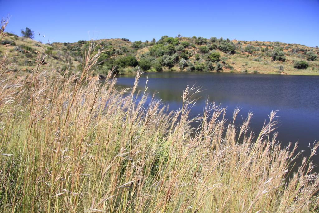Suikerbosrand Nature reserve, 30 minutes from my house Johannesburg, Gauteng, South Africa