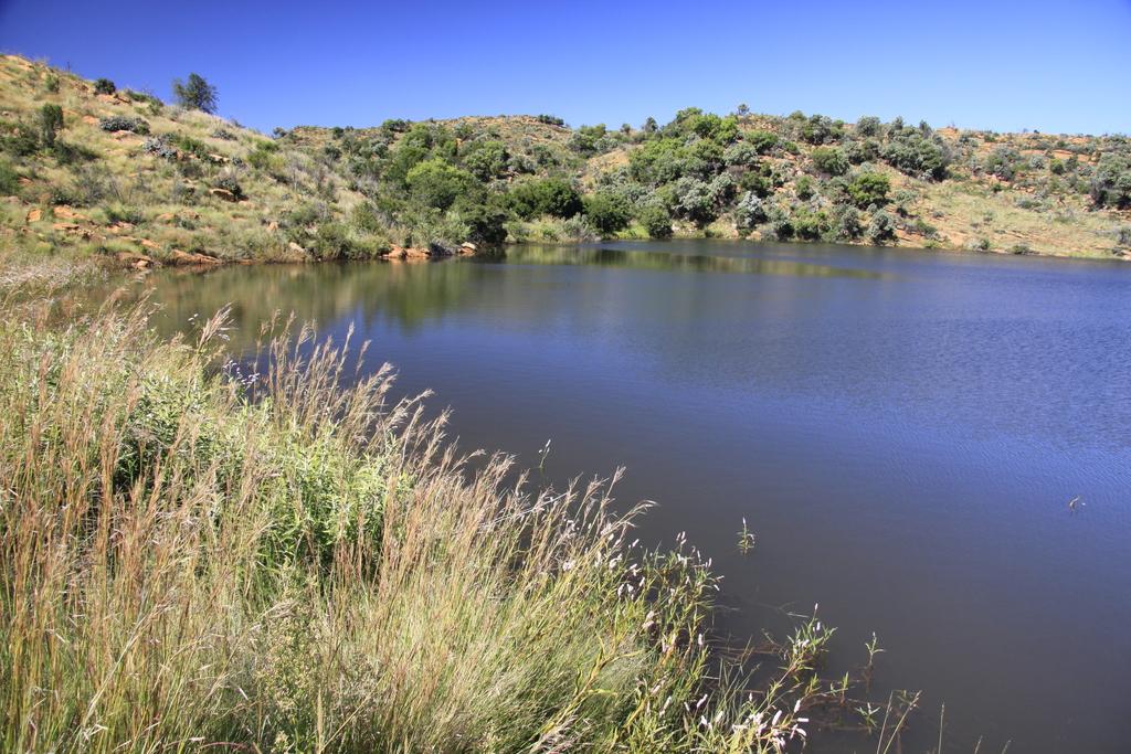 Suikerbosrand Nature reserve, 30 minutes from my house Johannesburg, Gauteng, South Africa