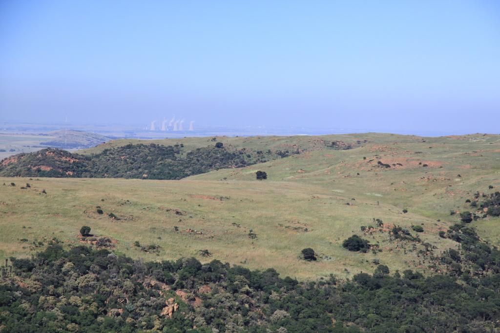 Suikerbosrand Nature reserve, 30 minutes from my house Johannesburg, Gauteng, South Africa